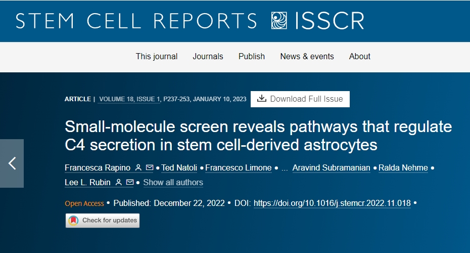 小分子篩選揭示調(diào)節(jié)干細胞來源的星形膠質(zhì)細胞中 C4 分泌的途徑