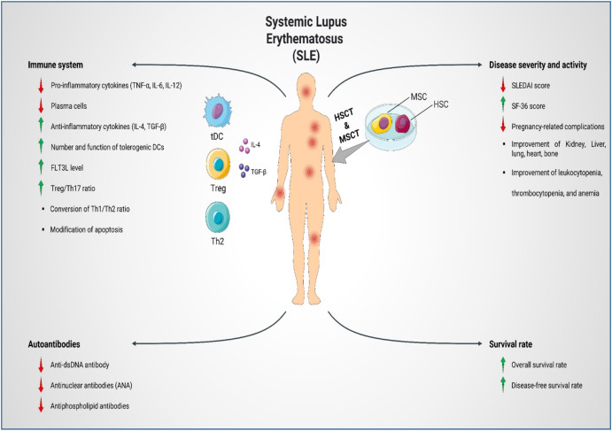 圖1：SLE患者的疾病發(fā)病機制、嚴重程度和活動性。