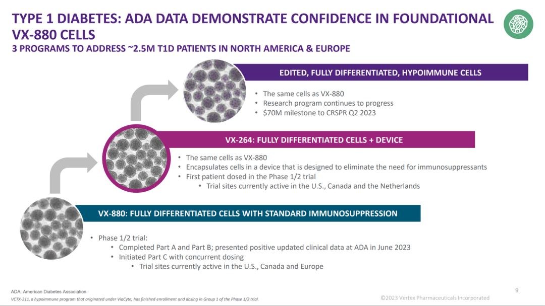 圖1：VERTEX糖尿病干細(xì)胞管線