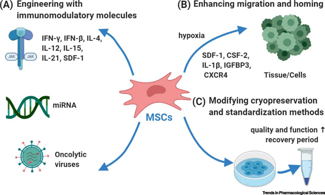 圖2:提升間充質干細胞應用效果的三大策略 圖2:提升間充質干細胞應用效果的三大策略