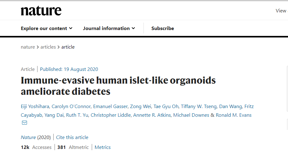 免疫逃避型人胰島樣器官可改善糖尿病 免疫逃避型人胰島樣器官可改善糖尿病