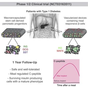 1/2期臨床試驗(yàn)(NCT03163511) 1/2期臨床試驗(yàn)(NCT03163511)