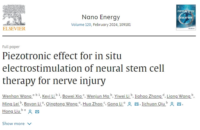 壓電效應(yīng)在神經(jīng)干細(xì)胞原位電刺激治療神經(jīng)損傷中的應(yīng)用