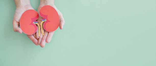 慢性腎病治療，你了解這6種方法嗎？