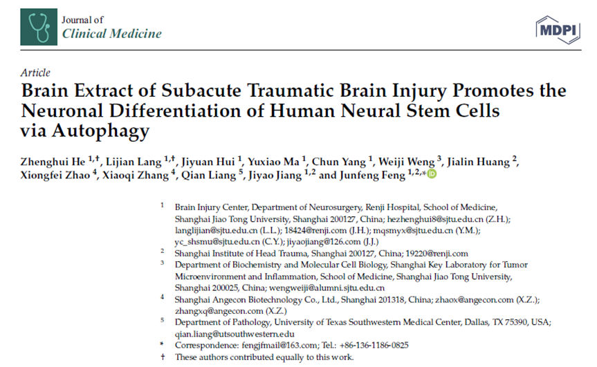 亞急性創(chuàng)傷性腦損傷腦提取物通過(guò)自噬促進(jìn)人類神經(jīng)干細(xì)胞的神經(jīng)元分化