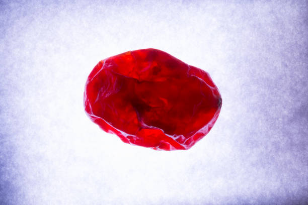 什么是血腦屏障？間充質(zhì)干細(xì)胞是否具備穿過血腦屏障的能力？