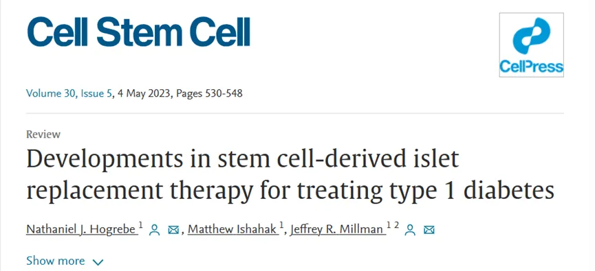 干細(xì)胞來源的胰島替代療法治療 1 型糖尿病的進(jìn)展