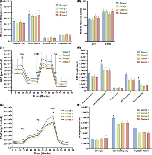 圖3：從對照組和2型糖尿病 (T2DM) 患者中分離的骨髓間充質(zhì)干細(xì)胞 (BM-MSC) 的代謝概況。
