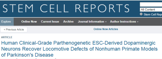 人類(lèi)臨床級(jí)孤雌生殖 ESC 衍生的多巴胺能神經(jīng)元可恢復(fù)非人類(lèi)靈長(zhǎng)類(lèi)動(dòng)物帕金森病模型的運(yùn)動(dòng)缺陷
