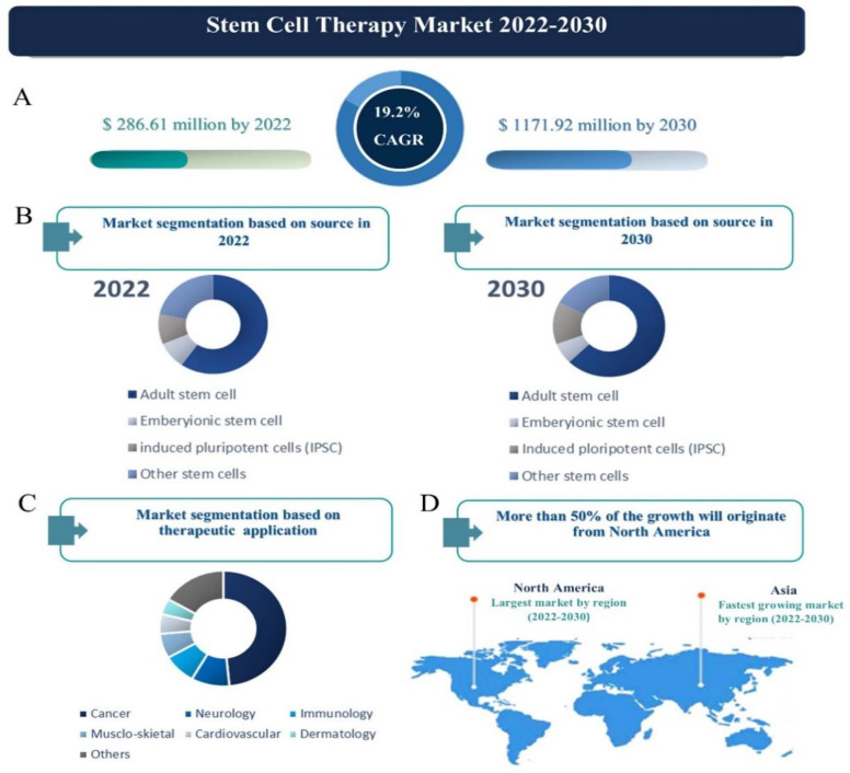 干細(xì)胞治療市場(chǎng) 2022-2030