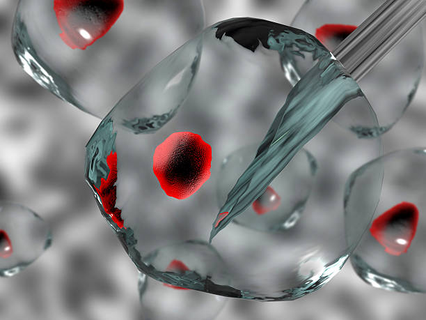 抑郁癥的治療方式有哪些？