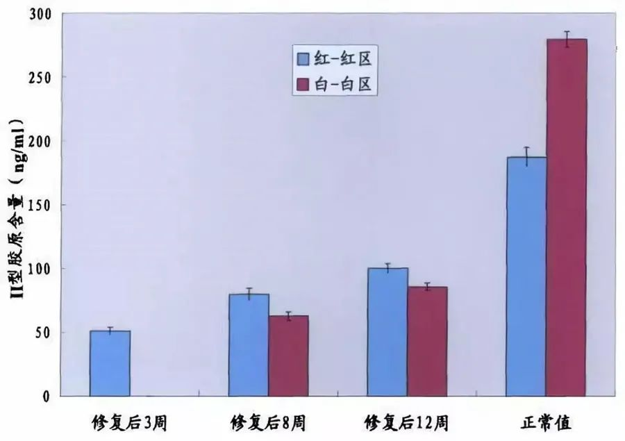 不同時間點修復組織紅-紅區(qū)與白-白區(qū)II型膠原表達量
