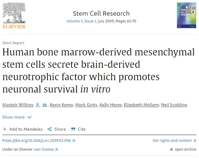 人類骨髓間充質干細胞分泌腦源性神經(jīng)營養(yǎng)因子，促進體外神經(jīng)元存活