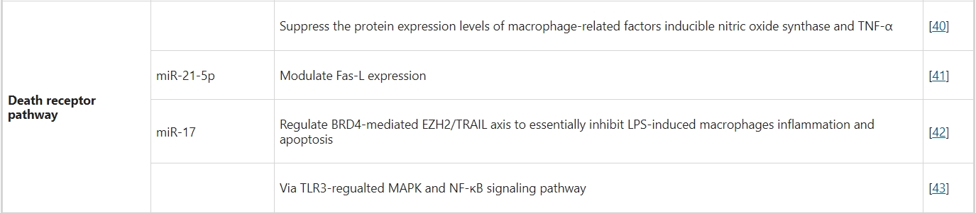 內(nèi)源性途徑(死亡受體通路) 內(nèi)源性途徑(死亡受體通路)