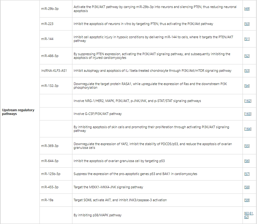 上游調(diào)控通路 上游調(diào)控通路