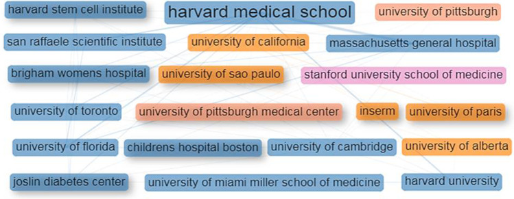 圖4：干細(xì)胞治療1型糖尿病研究的主要機(jī)構(gòu)的合作網(wǎng)絡(luò)。