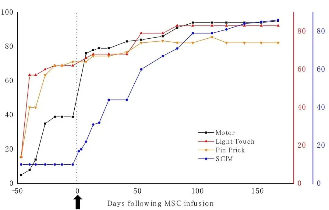干細胞治療脊髓損傷的治療效果如何？