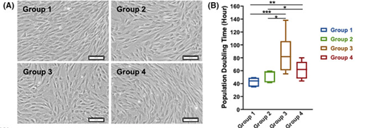 健康組（第1組）和2型糖尿病患者的自體骨髓來(lái)源間充質(zhì)干細(xì)胞（BM-MSCs）的表征對(duì)比