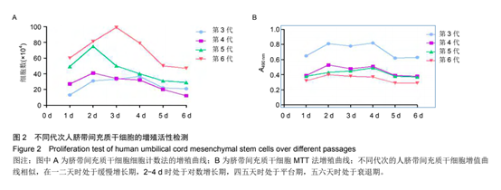 不同代次人臍帶間充質(zhì)于細(xì)胞的增殖活性檢測(cè)