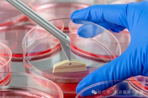 什么是干細(xì)胞療法？