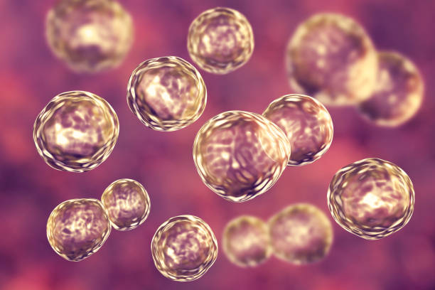 中國的人類多能干細(xì)胞生物庫的發(fā)展要迎來拐點(diǎn)了嗎？