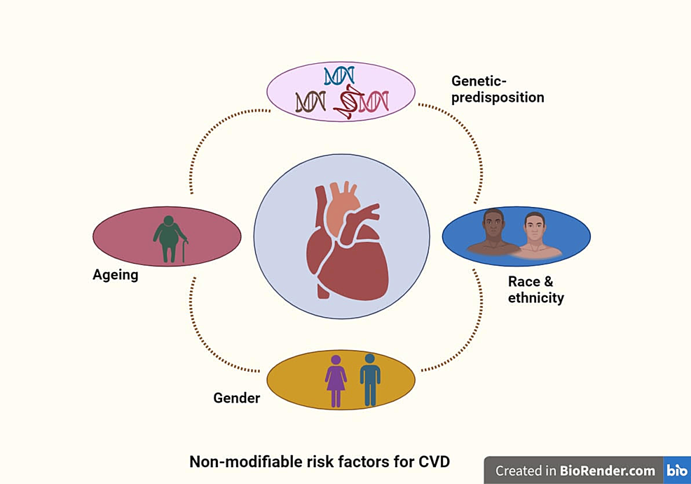 圖1：心血管疾病的不可改變的風(fēng)險(xiǎn)因素。