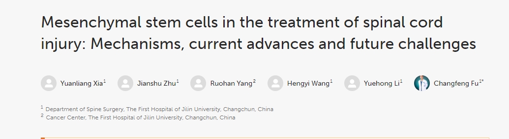 間充質(zhì)干細(xì)胞治療脊髓損傷：機(jī)制、當(dāng)前進(jìn)展和未來挑戰(zhàn)