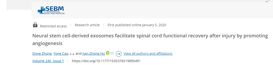 神經(jīng)干細(xì)胞衍生的外泌體通過促進(jìn)血管生成促進(jìn)損傷后脊髓功能恢復(fù)