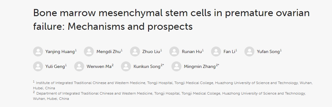 骨髓間充質(zhì)干細(xì)胞在卵巢早衰中的作用:機(jī)制與前景 骨髓間充質(zhì)干細(xì)胞在卵巢早衰中的作用:機(jī)制與前景
