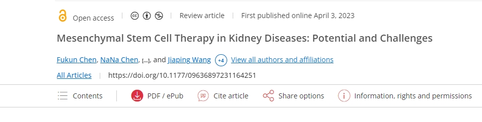 間充質(zhì)干細胞治療腎臟疾?。簼摿εc挑戰(zhàn) 間充質(zhì)干細胞治療腎臟疾?。簼摿εc挑戰(zhàn)