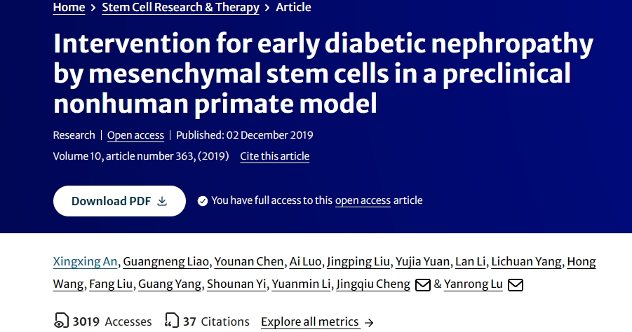 間充質(zhì)干細(xì)胞在臨床前非人類靈長類動物模型中對早期糖尿病腎病的干預(yù)