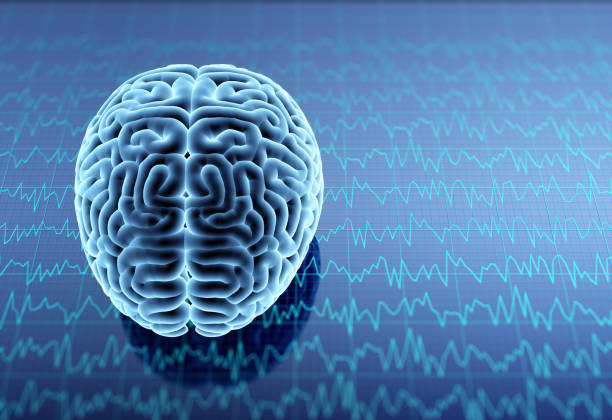 胚胎、神經(jīng)、誘導(dǎo)多能、間充質(zhì)干細(xì)胞治療神經(jīng)系統(tǒng)疾病的研究進(jìn)展