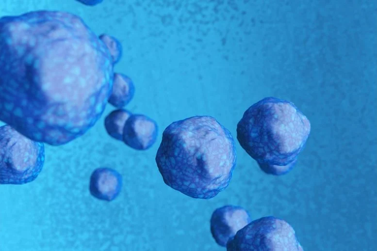 杜克大學(xué)-新加坡國(guó)立大學(xué)和MBI的科學(xué)家發(fā)現(xiàn)了一種激活休眠神經(jīng)干細(xì)胞的途徑，通過(guò)針對(duì)星形膠質(zhì)細(xì)胞和神經(jīng)干細(xì)胞之間的相互作用，有可能為神經(jīng)發(fā)育障礙帶來(lái)新的治療方法。