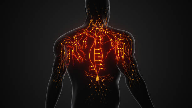 腦和脊髓創(chuàng)傷是重大的公共衛(wèi)生挑戰(zhàn)