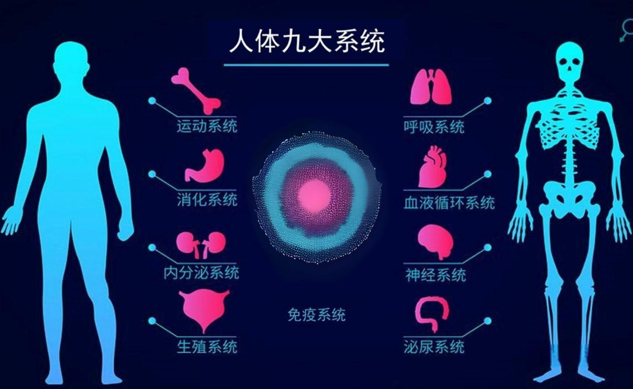 2024干細胞療法前沿：九大系統(tǒng)7200+臨床試驗，攻克200+疾病在即