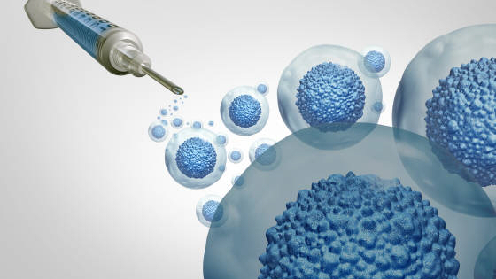 干細胞治療糖尿病腎病的作用機制