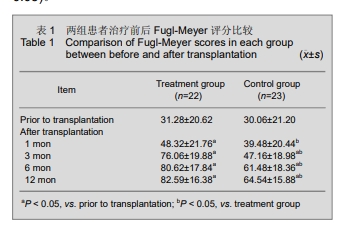肢體運(yùn)動功能