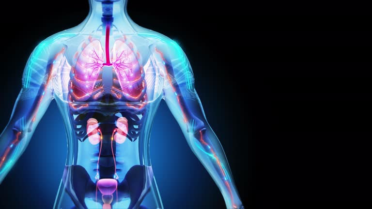 干細(xì)胞療法可以重建腎臟功能嗎？