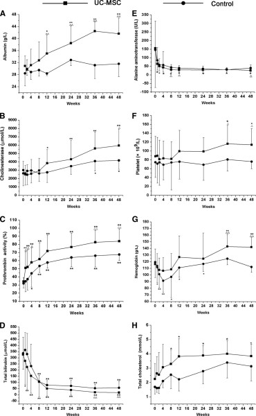 UC-MSC 輸血對(duì)肝功能的影響。