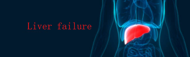 兩大醫(yī)院證明：干細(xì)胞療法能夠提高肝衰竭患者生存率并且改善肝功能！