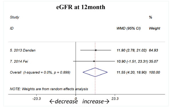 12個(gè)月的eGFR均顯著改善。（如圖B2所示）