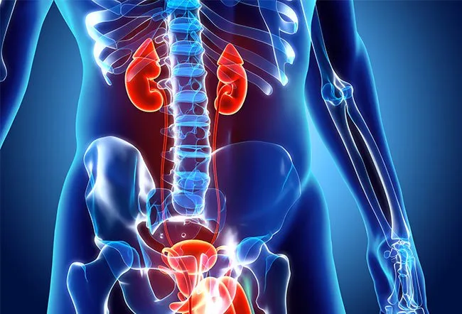 您通?？梢越档突寄I病的風險或阻止其進展。