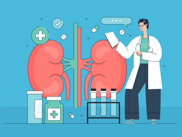 干細(xì)胞治療腎病的機(jī)制原理