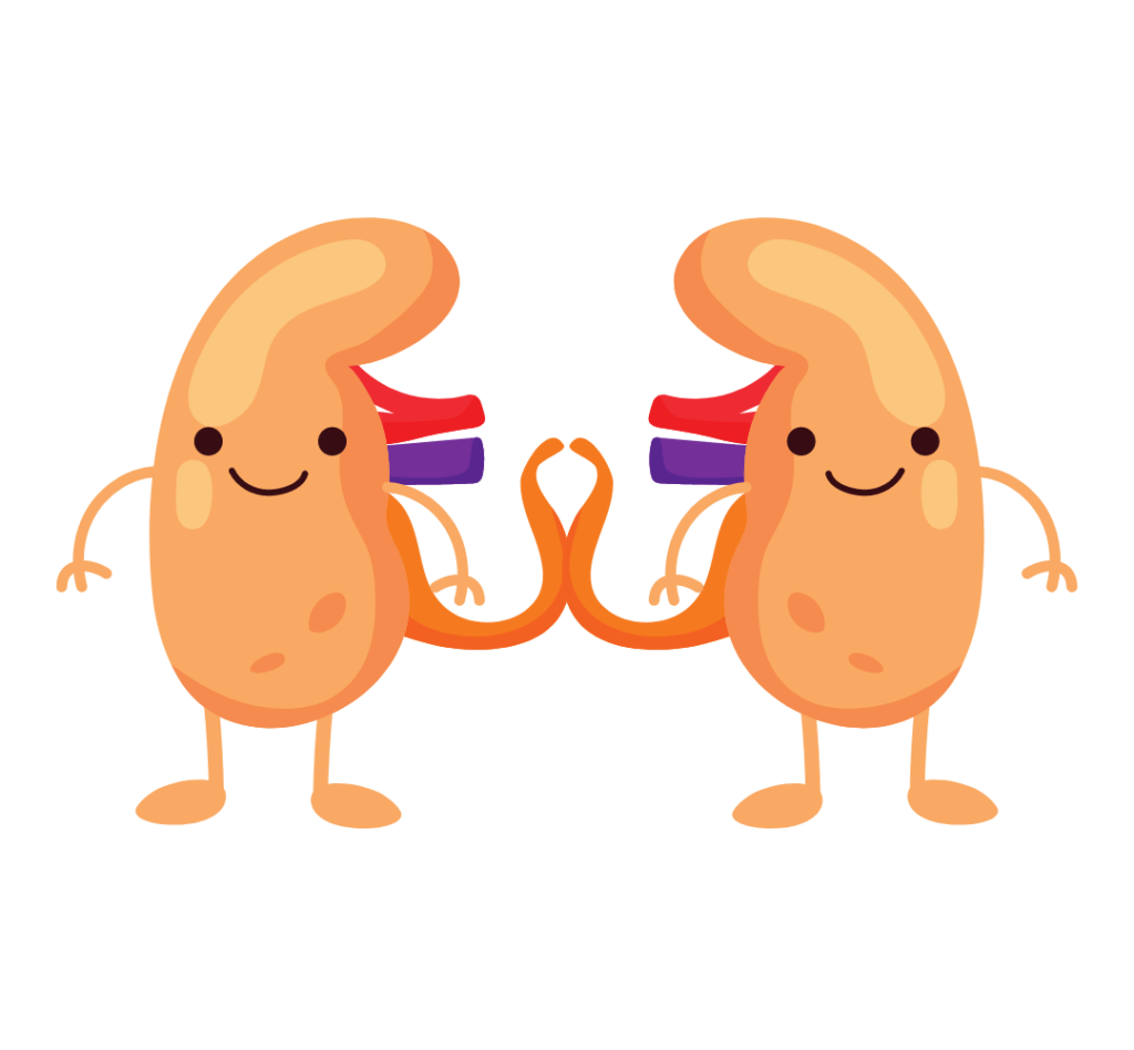 干細(xì)胞療法對(duì)治療腎臟疾病和腎移植的研究進(jìn)展