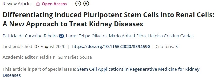 將誘導(dǎo)性多能干細(xì)胞分化為腎細(xì)胞：治療腎臟疾病的新方法