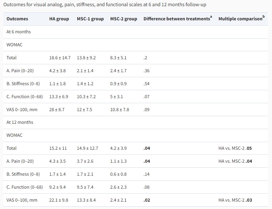 圖2：6個月和12個月隨訪中的視覺模擬、疼痛、僵硬和功能量表結(jié)果