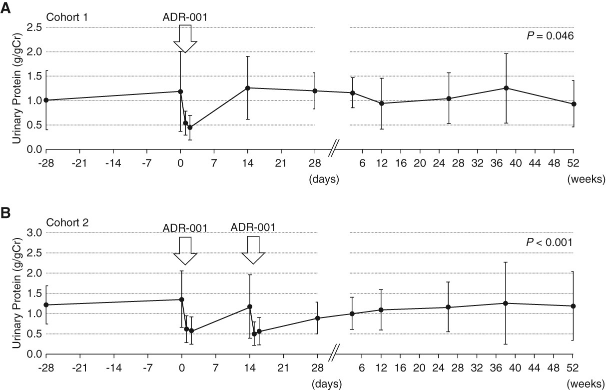 圖3：尿蛋白轉(zhuǎn)變。