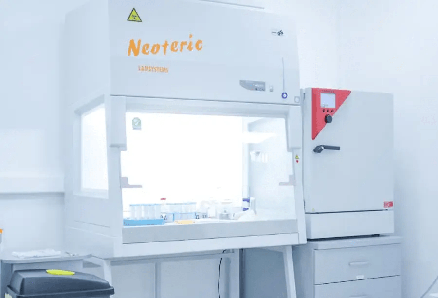 干細(xì)胞治療的安全性和副作用:全面概述