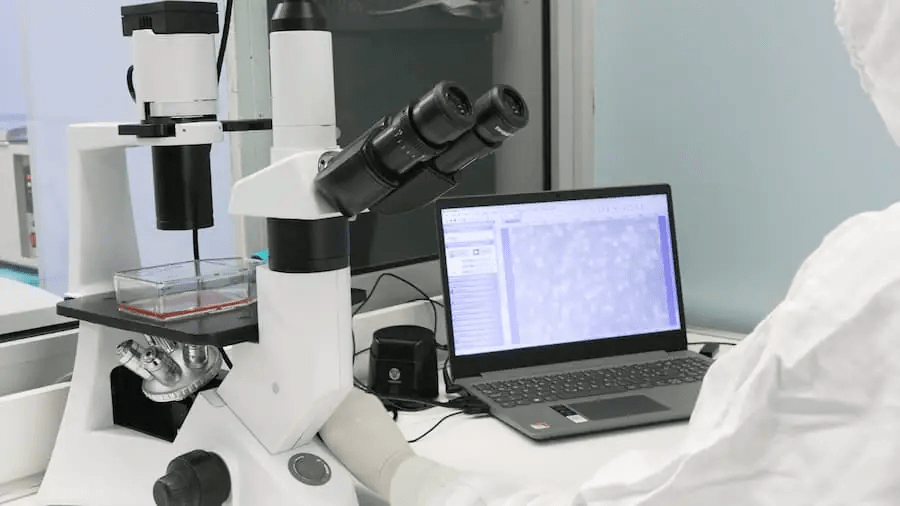 干細(xì)胞治療的安全性和副作用:全面概述