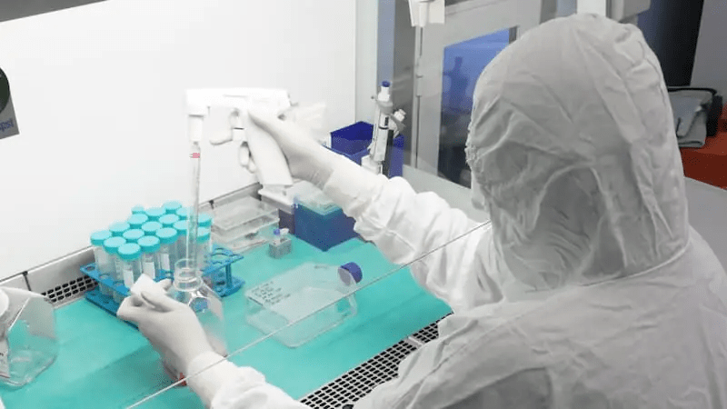 從實驗室到臨床：干細(xì)胞機構(gòu)是如何生產(chǎn)高質(zhì)量干細(xì)胞的？